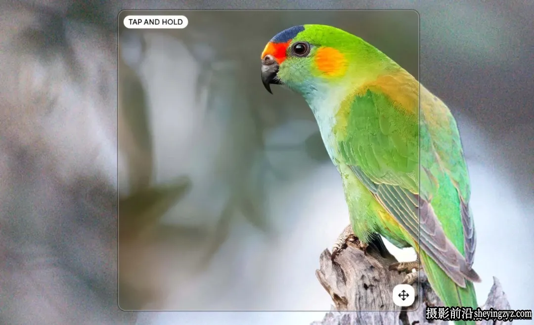更新!Topaz Photo Pro v1.5.2中文正式版AI扩图移除放大降噪WINX64