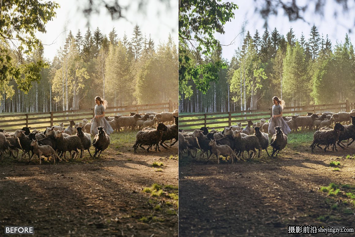 乡村牧场生活人像LR预设手机调色滤镜 Farm Life Lightroom Presets