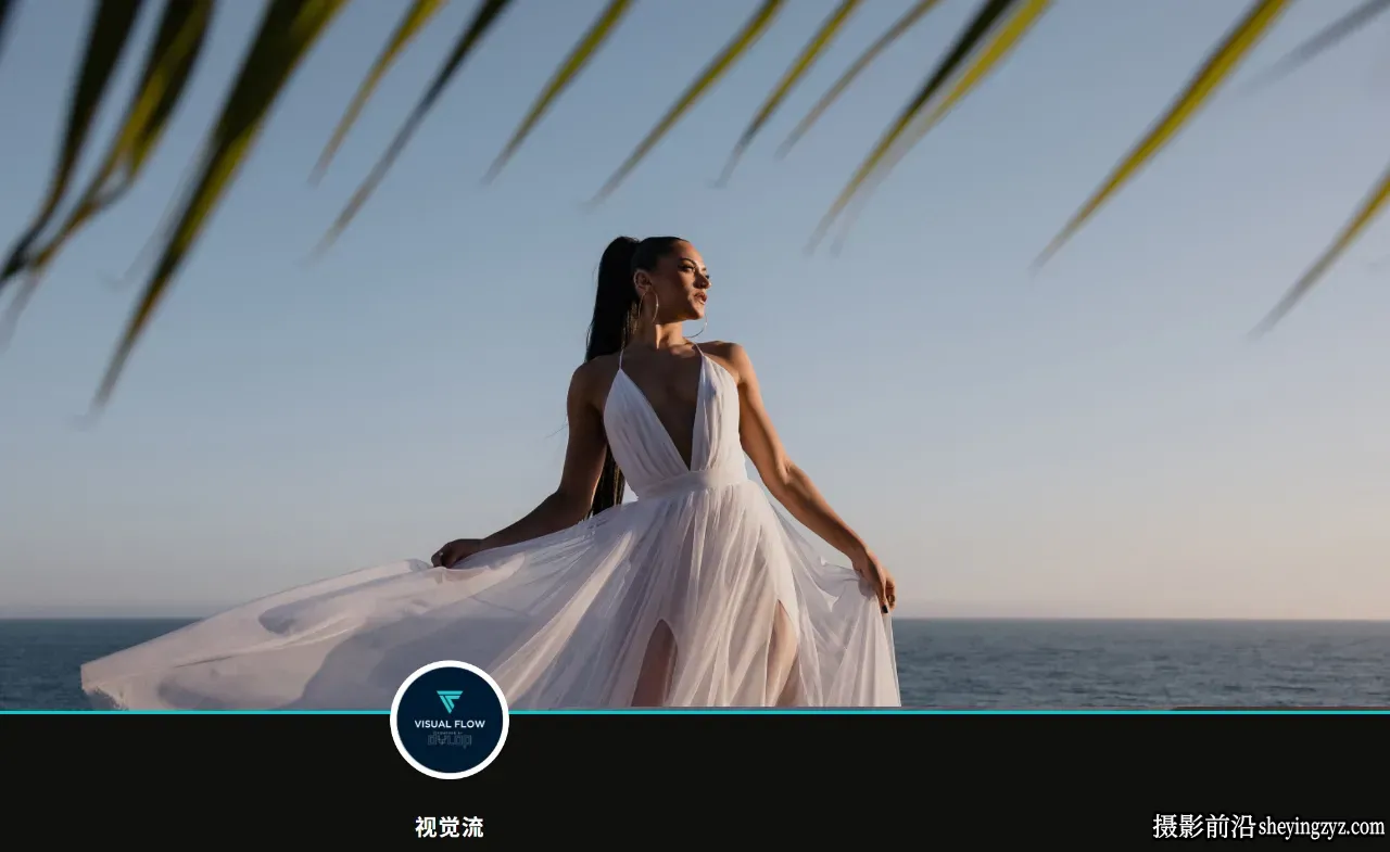 电影感十足的35毫米胶片LR预设 DVLOP - Visual Flow - Pure Pack