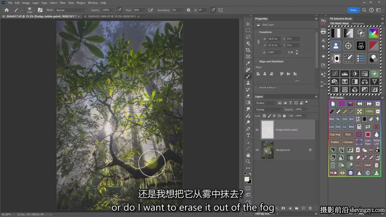 摄影师Sean Bagshaw亮度蒙版高级课程TK9插件高级课程-中英字幕