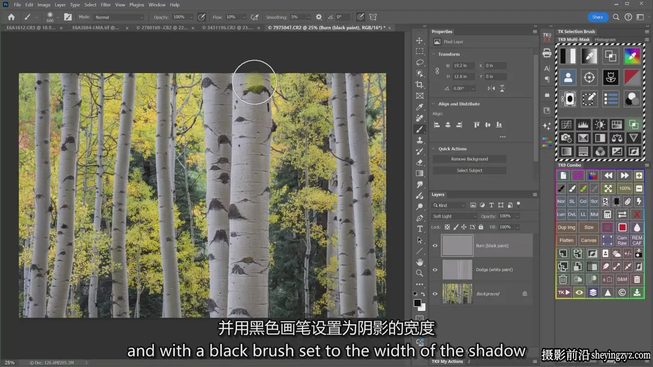 摄影师Sean Bagshaw亮度蒙版高级课程TK9插件高级课程-中英字幕
