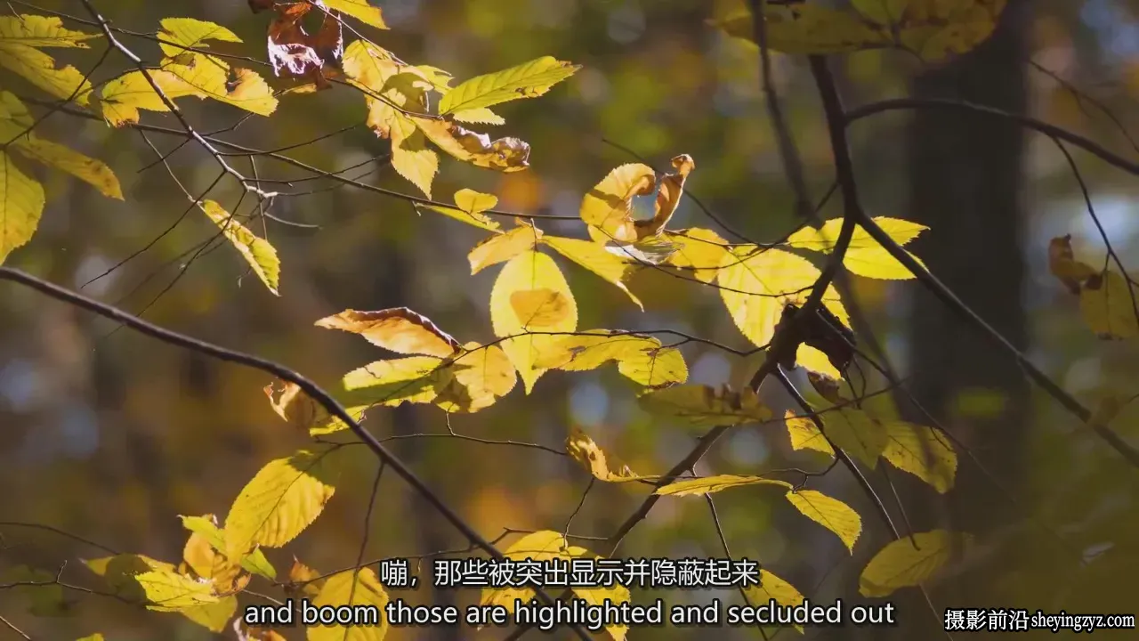 风光摄影师David Johnston长焦广角风景摄影完整教程-中英字幕