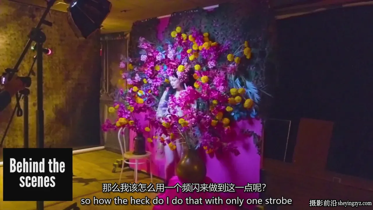 弗兰克·多尔霍夫Frank Doorhof《我是怎么拍的,孕期特辑》中英字幕