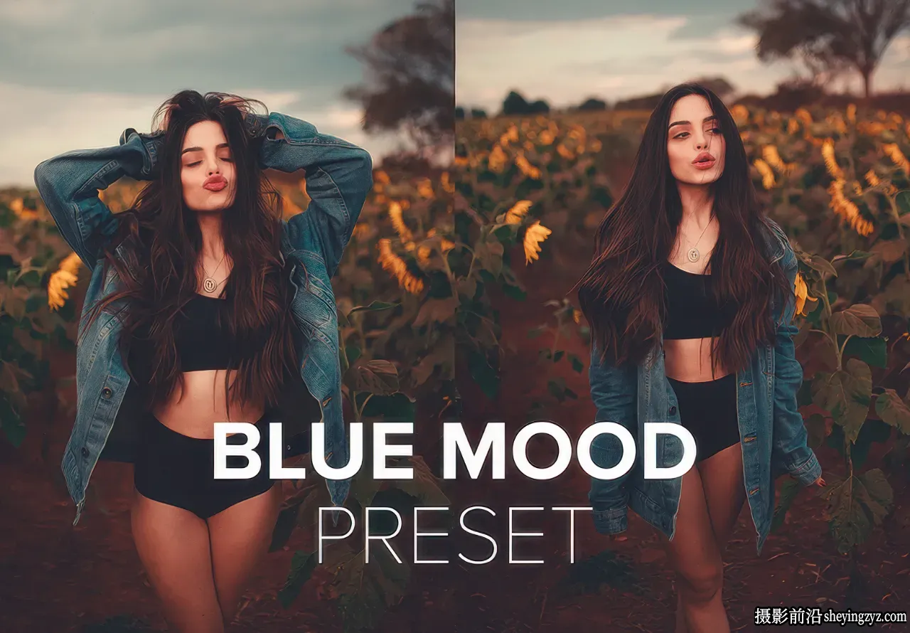LUIZCLAS 蓝调情绪电影人像LR预设/RAW/教程 Blue Mood Presets