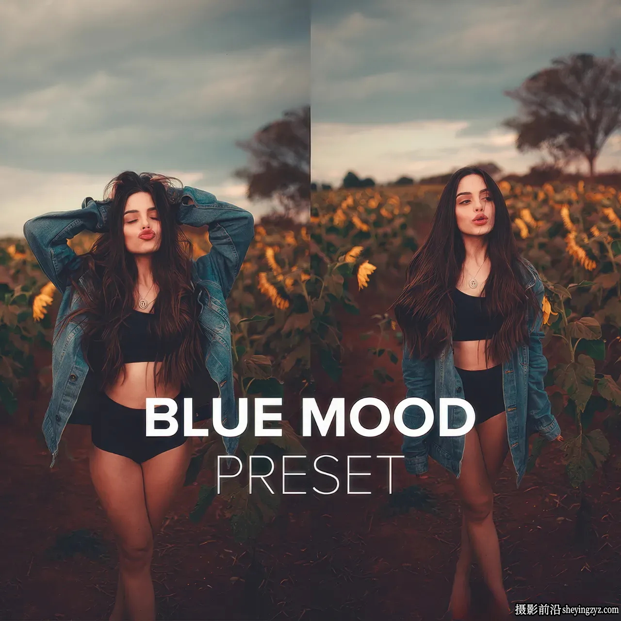 LUIZCLAS 蓝调情绪电影人像LR预设/RAW/教程 Blue Mood Presets
