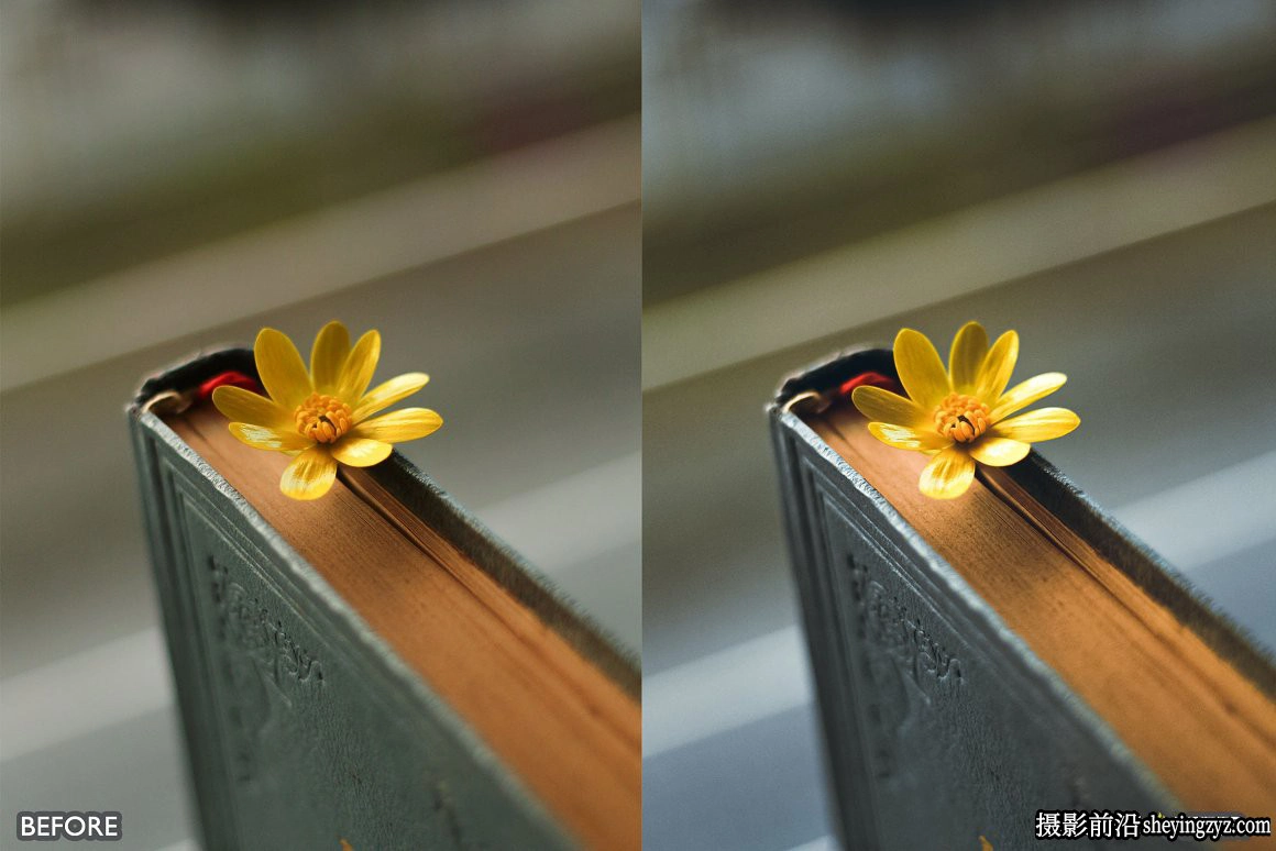 自然黄色调电影人像LR预设手机滤镜Nature Yellow Lightroom Presets