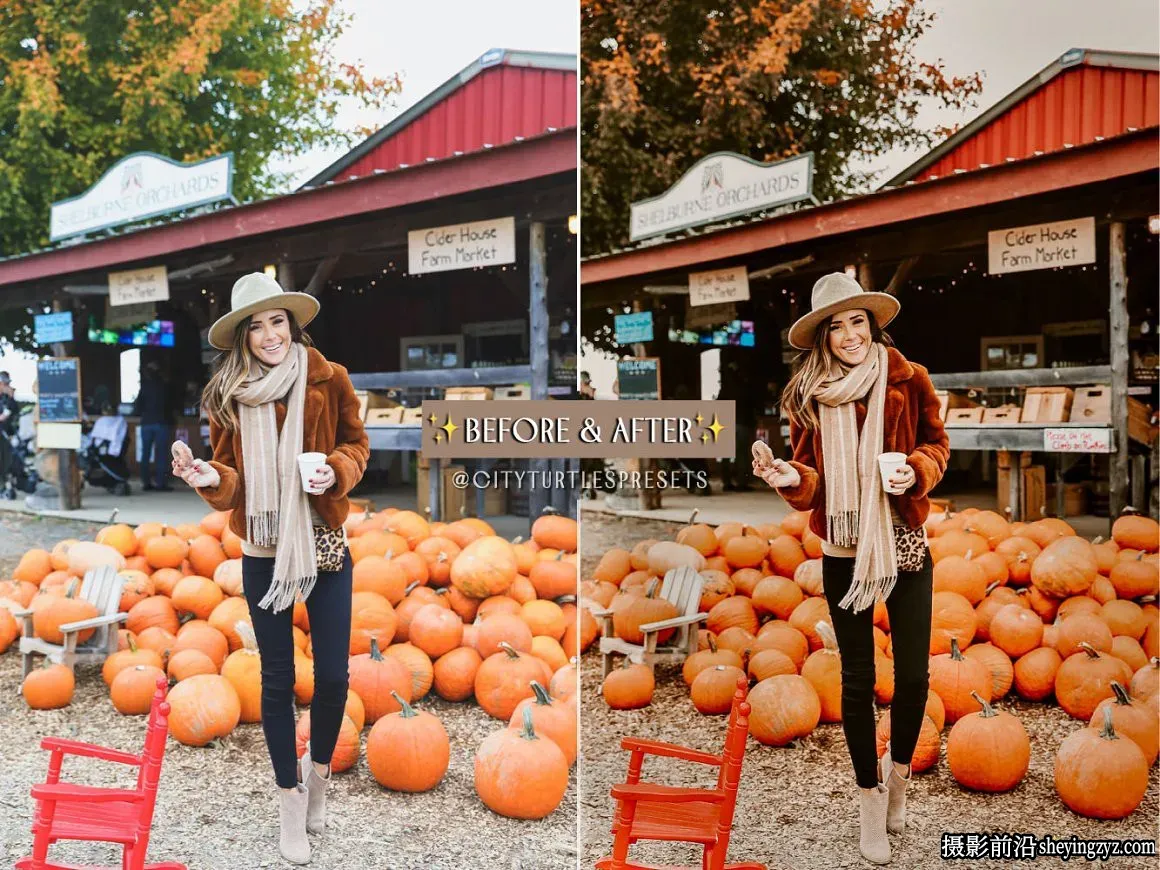 乡村秋季电影人像LR预设手机滤镜 Rustic Fall Lightroom Presets