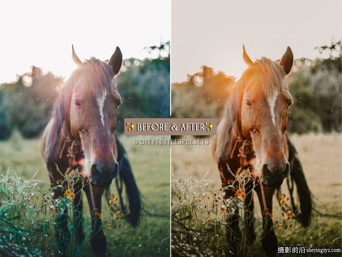 乡村秋季电影人像LR预设手机滤镜 Rustic Fall Lightroom Presets