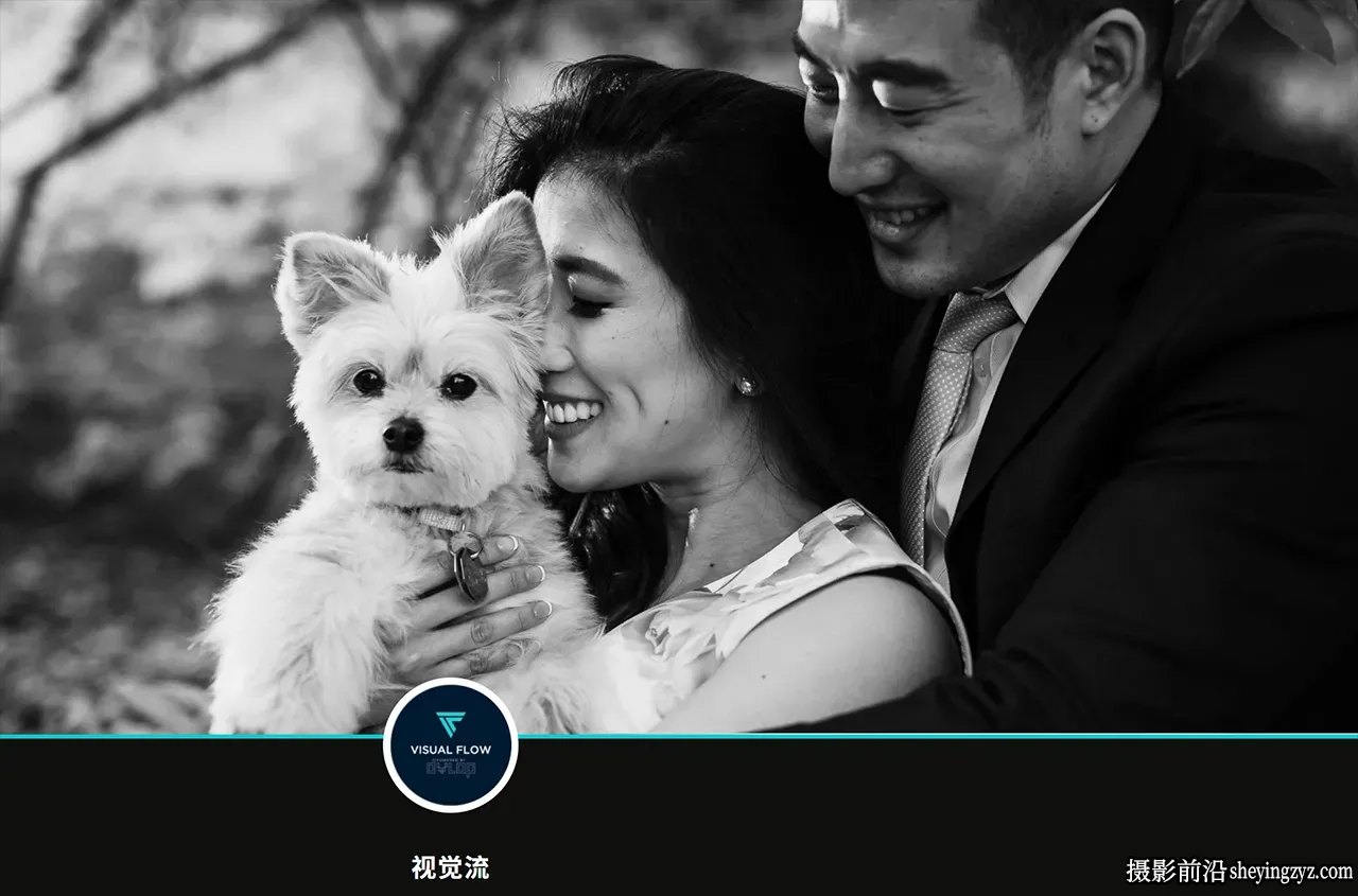 永恒经典黑白胶片LR预设DVLOP -Visual Flow -Black and White Mixer