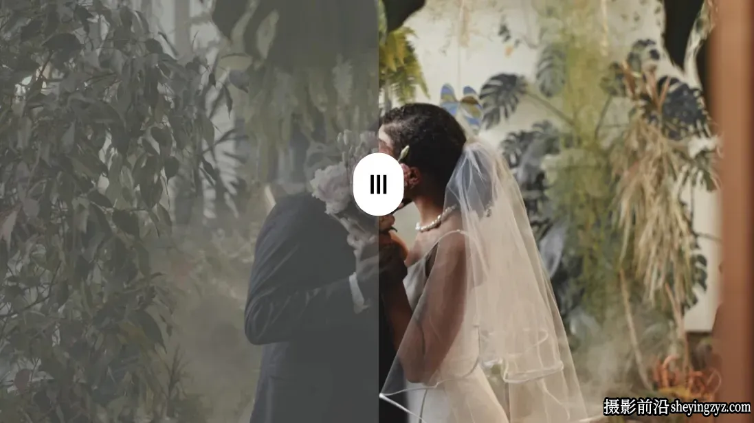 波西米亚婚礼LUT调色预设 GradeFruit - Wedding Boho LUTs
