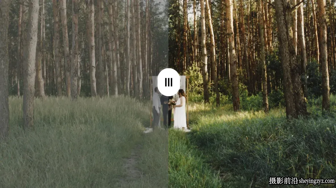 波西米亚婚礼LUT调色预设 GradeFruit - Wedding Boho LUTs