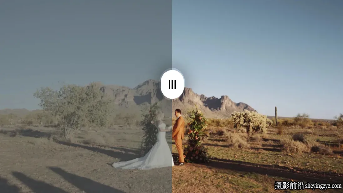 波西米亚婚礼LUT调色预设 GradeFruit - Wedding Boho LUTs