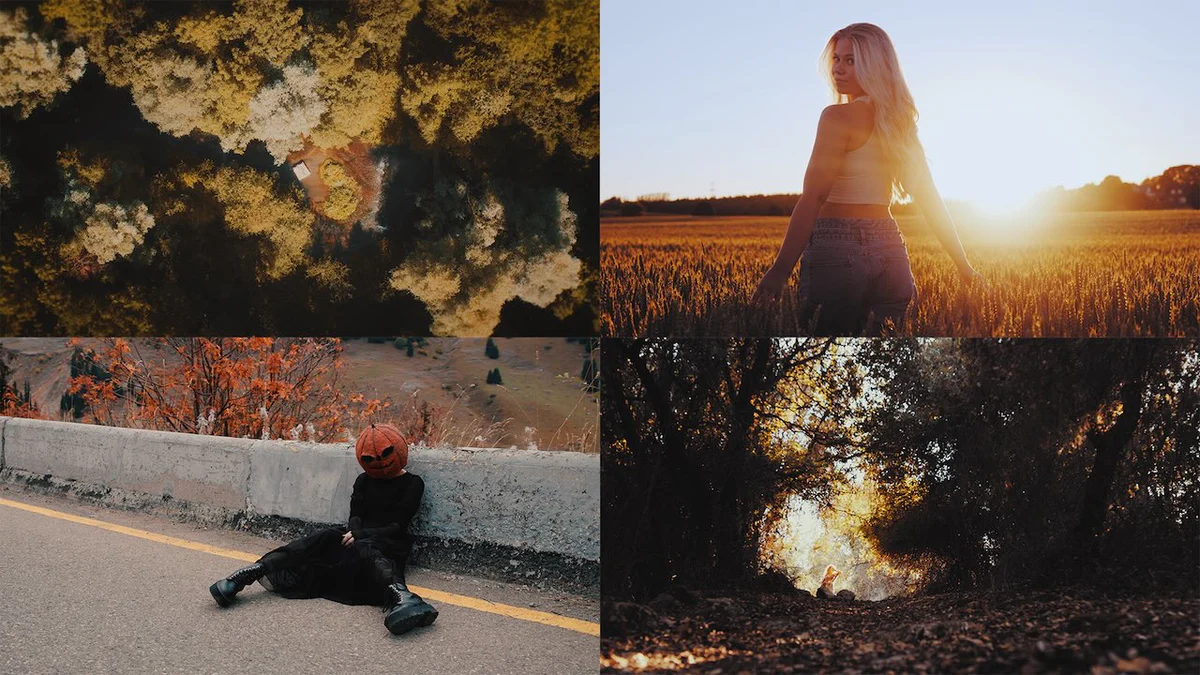秋季色彩电影风光LUT调色预设 GradeFruit - Bright Autumn LUTs