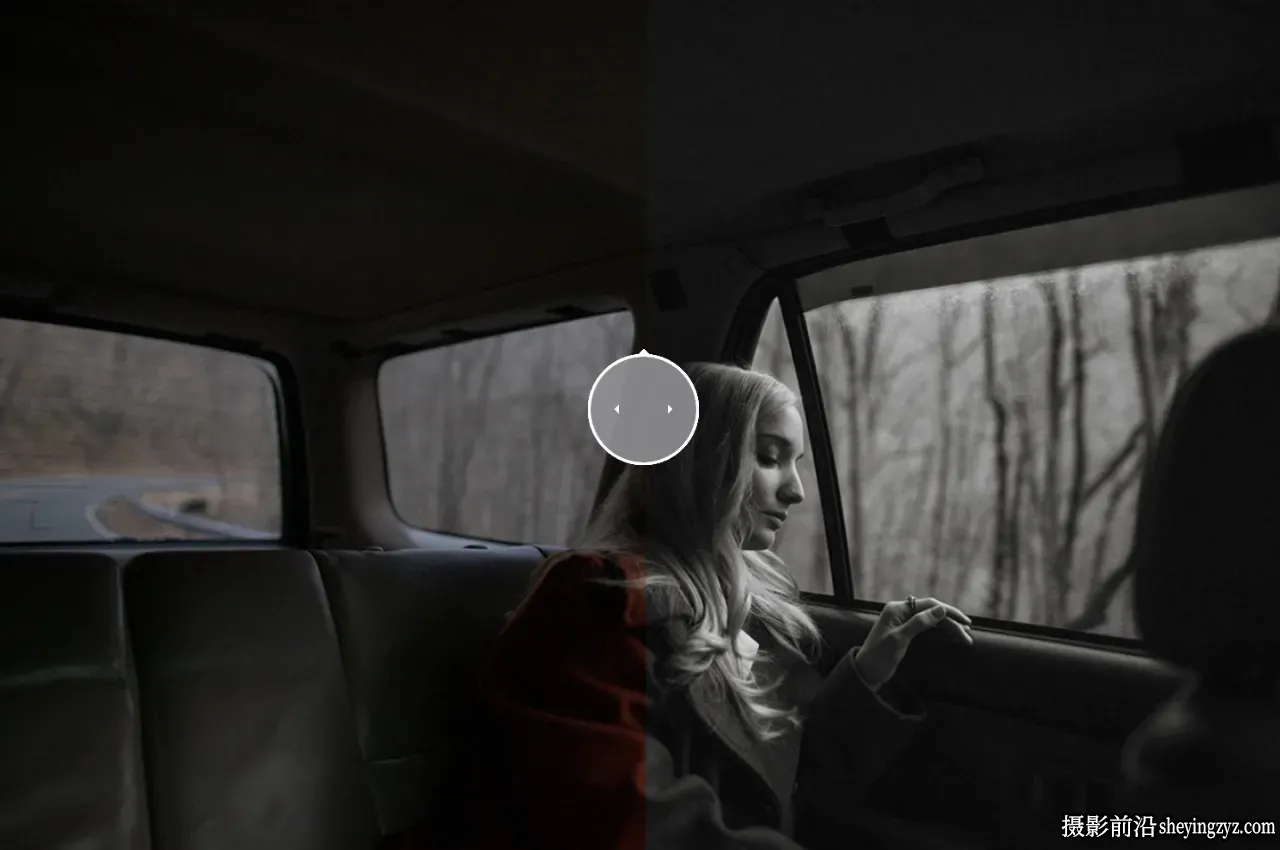 永恒黑白单色胶片LR预设 Dvlop - Nirav Patel - Lotus BW Presets