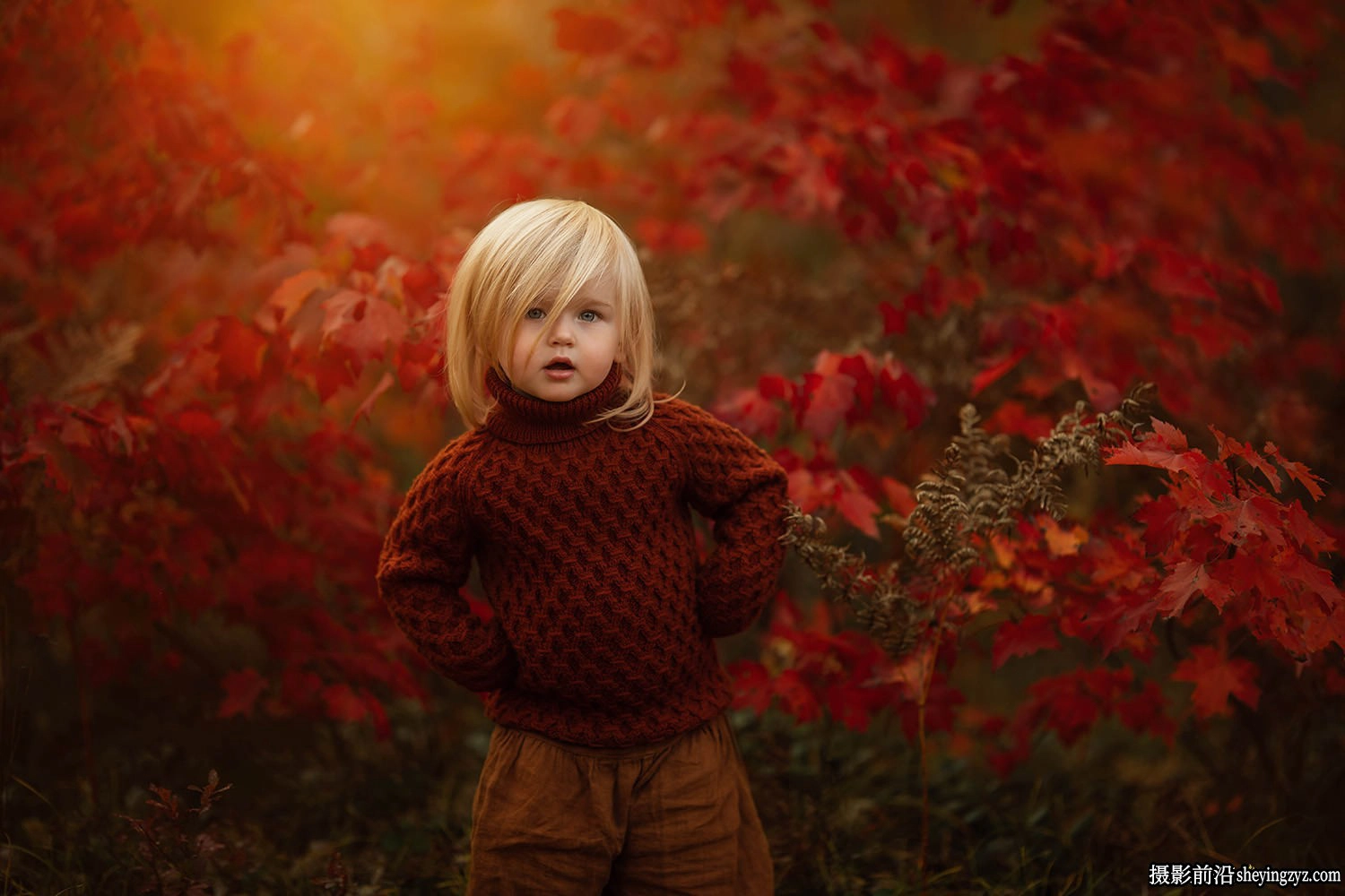 散景光学灯光LR画笔预设 Meridian presets Meg SPHAERA Presets