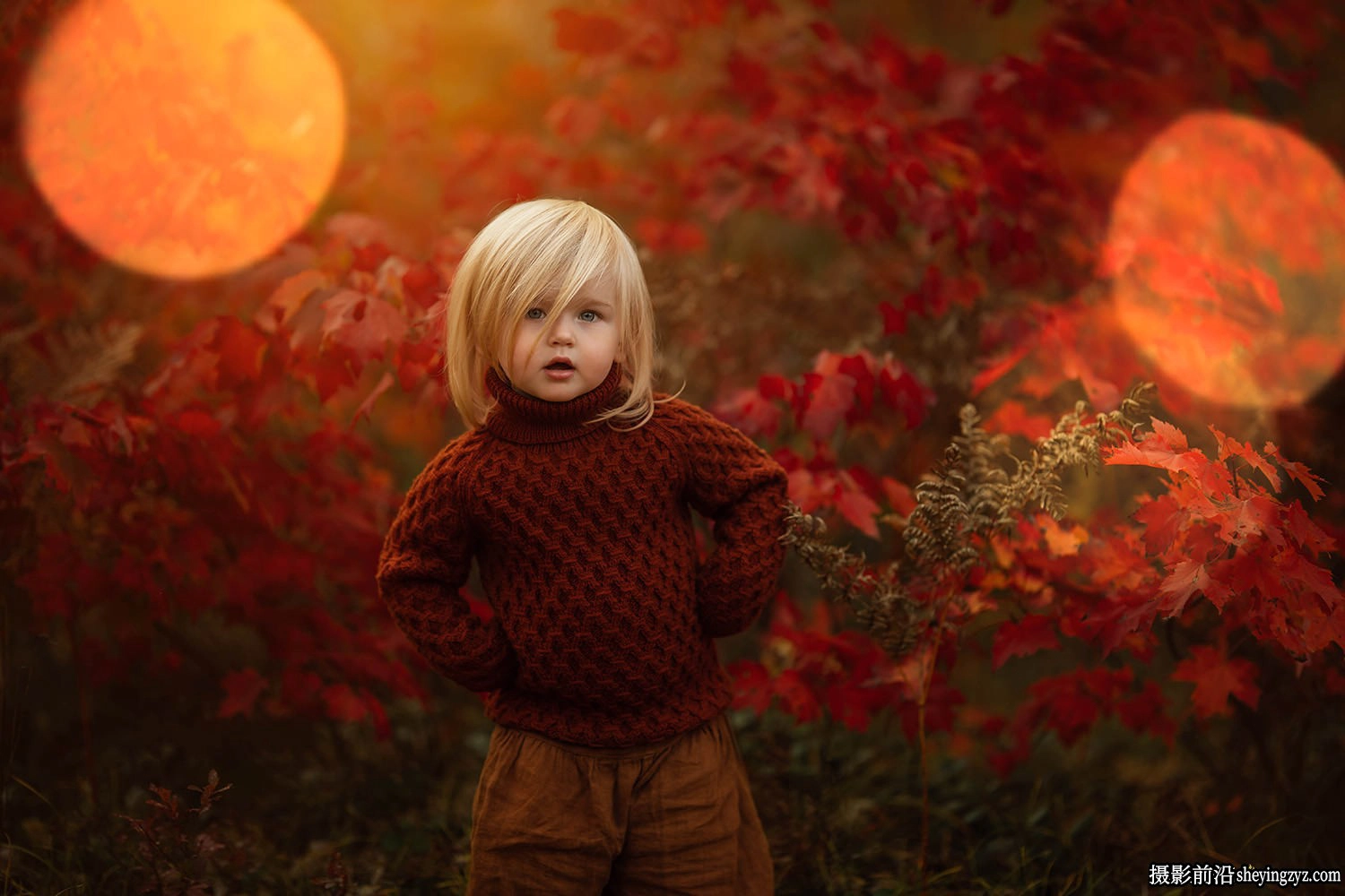 散景光学灯光LR画笔预设 Meridian presets Meg SPHAERA Presets