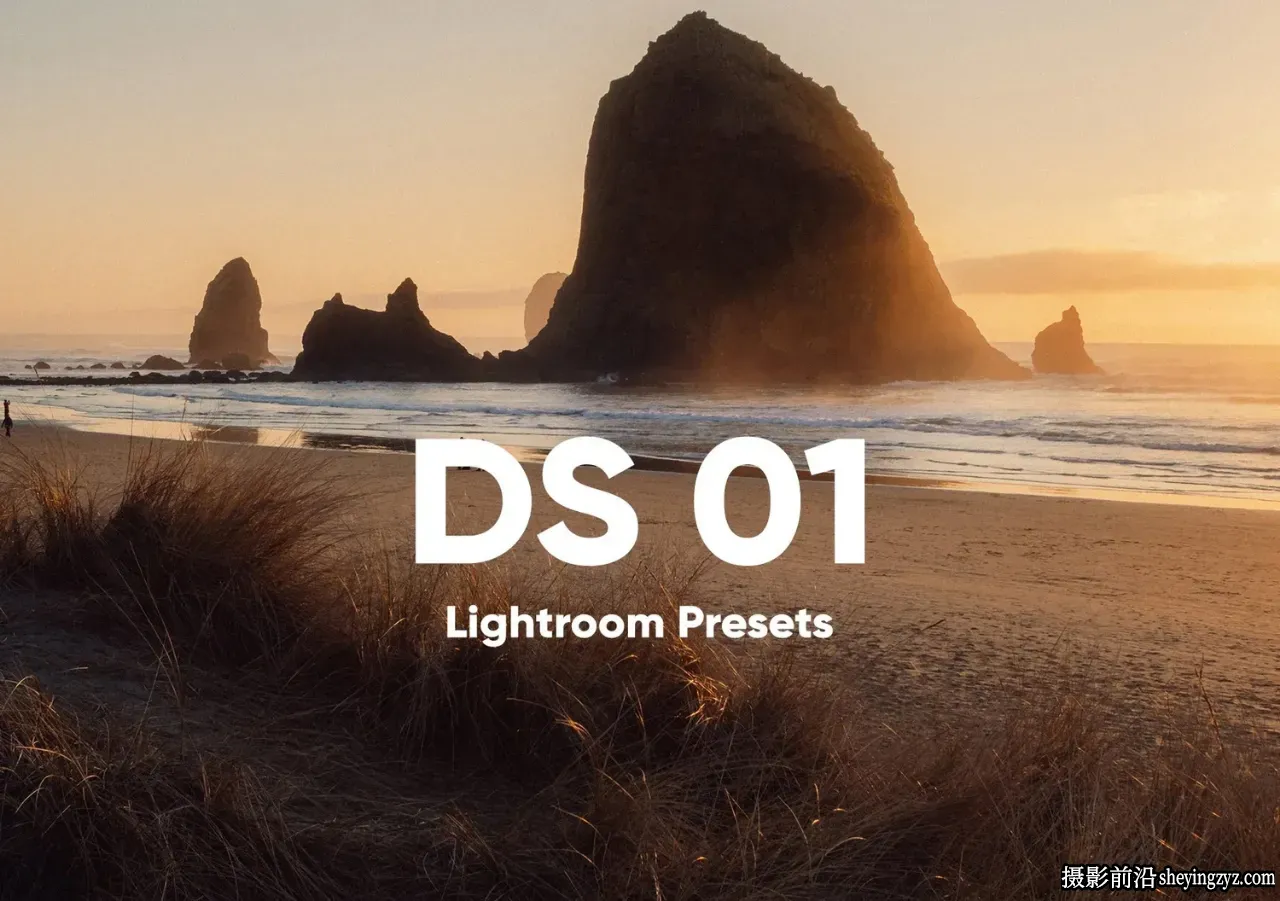 摄影师Dylan Spitz LR预设合集 DS Presets 01 for Lightroom Presets