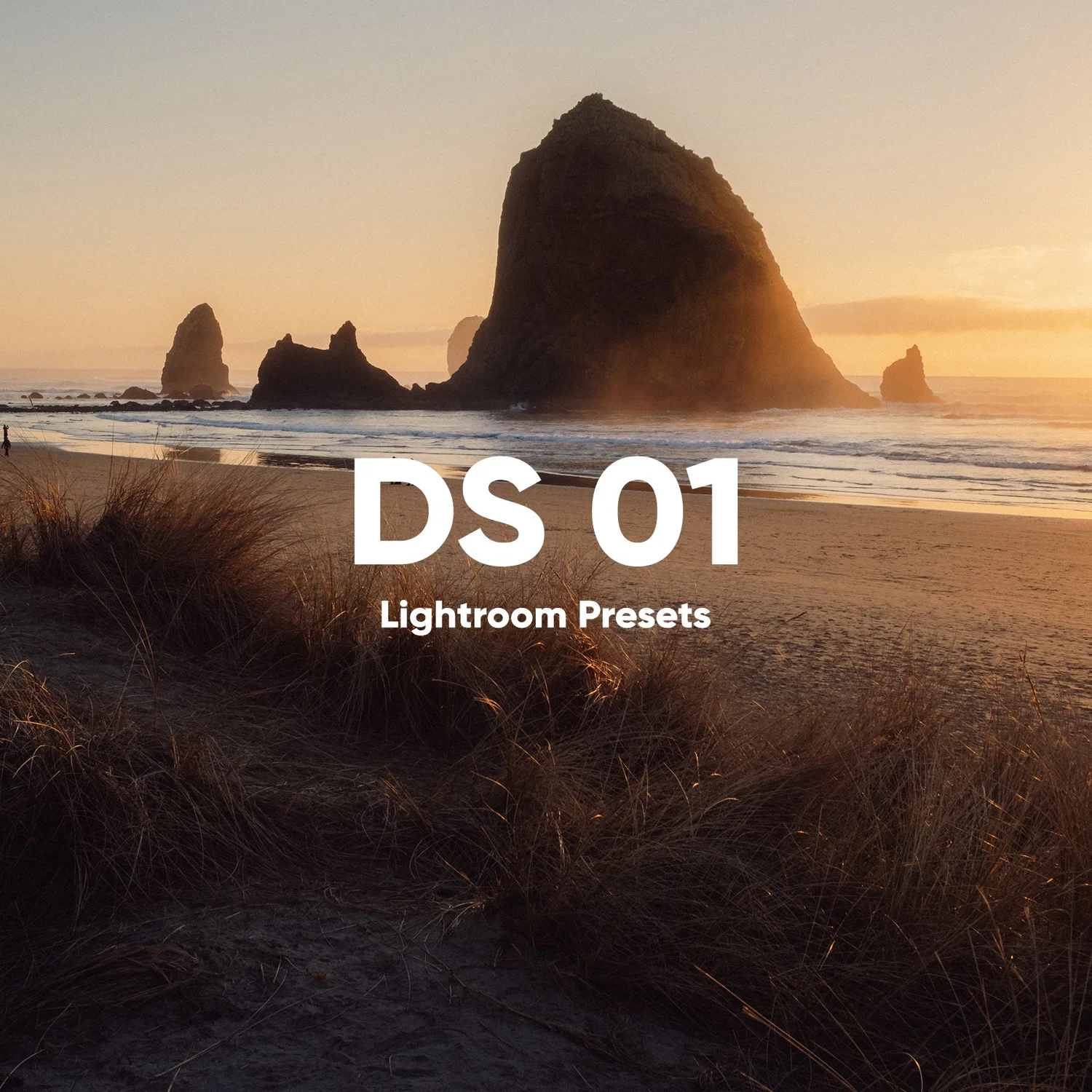摄影师Dylan Spitz LR预设合集 DS Presets 01 for Lightroom Presets