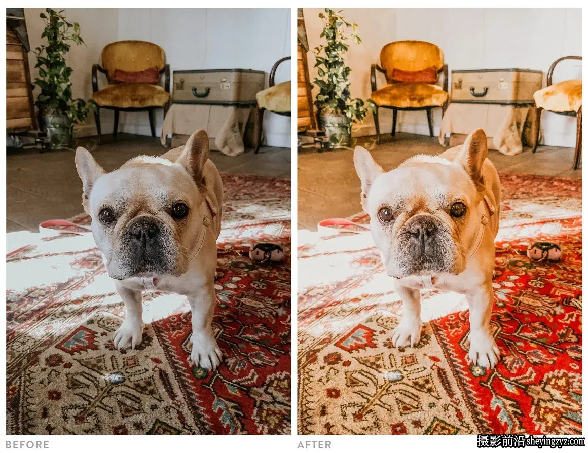 明亮室内胶片人像LR预设 Light and Airy Warm Lightroom Preset