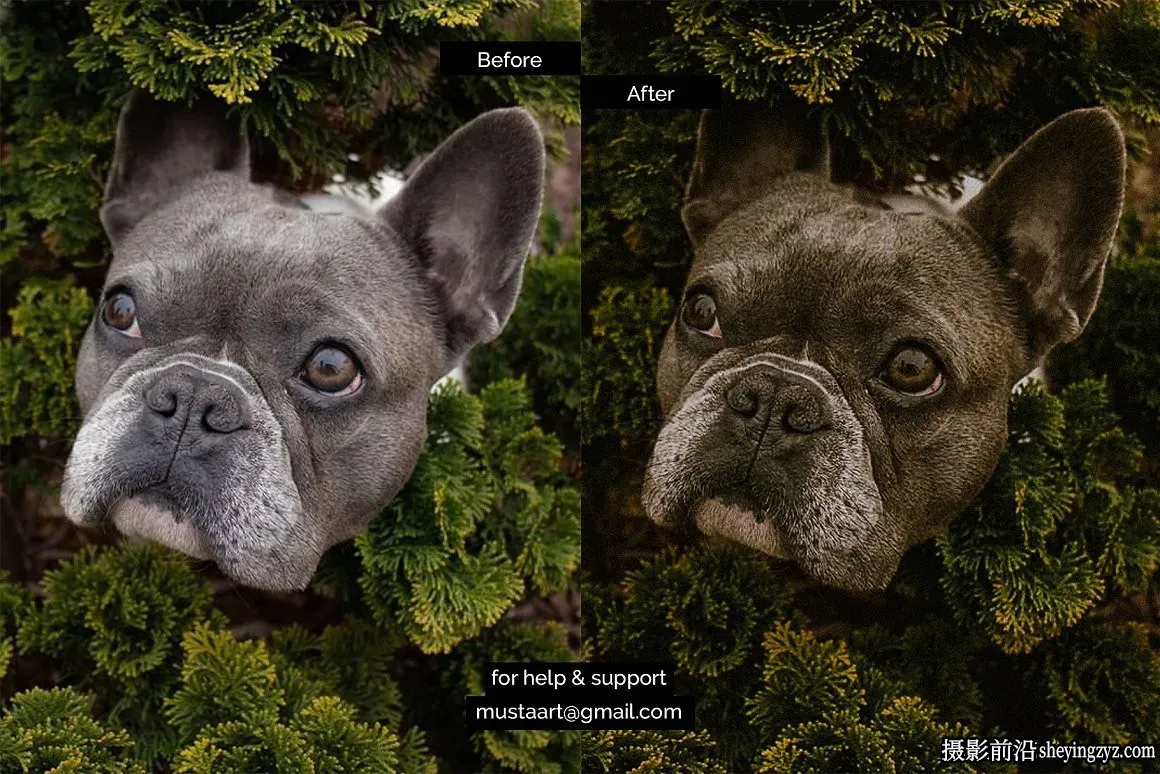 温暖舒适户外电影胶片人像LR预设  Matrice Lightroom Preset