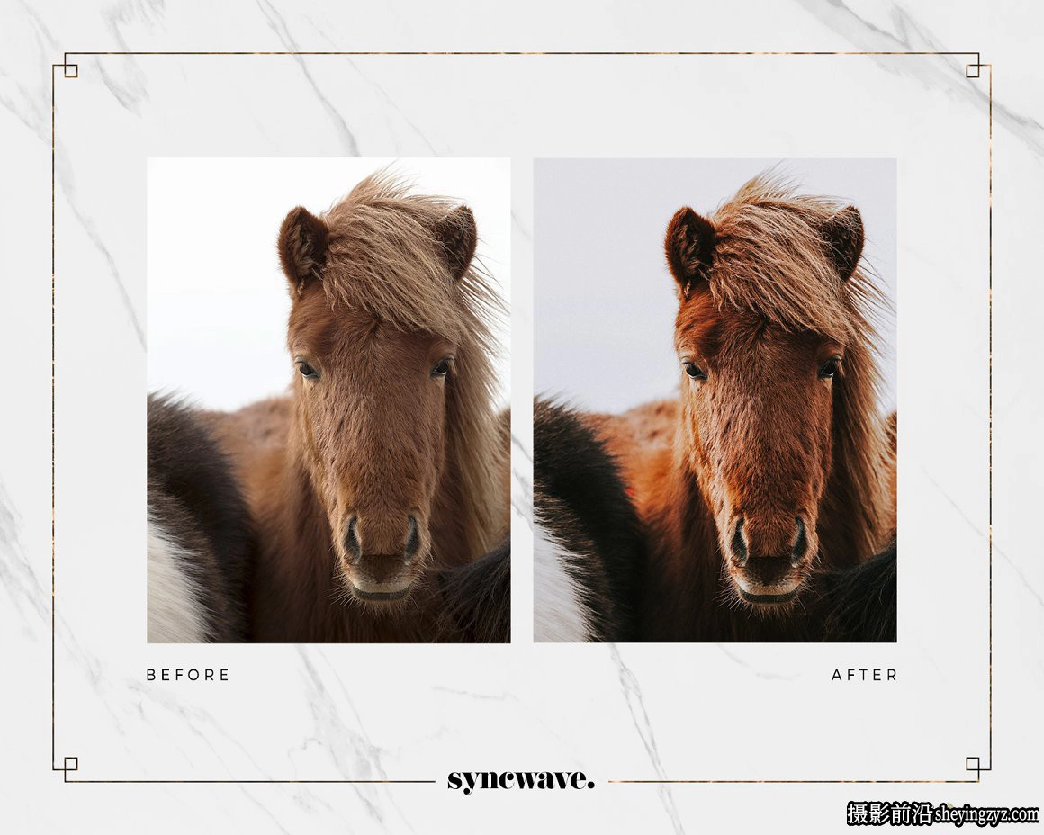 褐色电影胶片人像LR预设手机滤镜 Mahogany Maple Lightroom Prese
