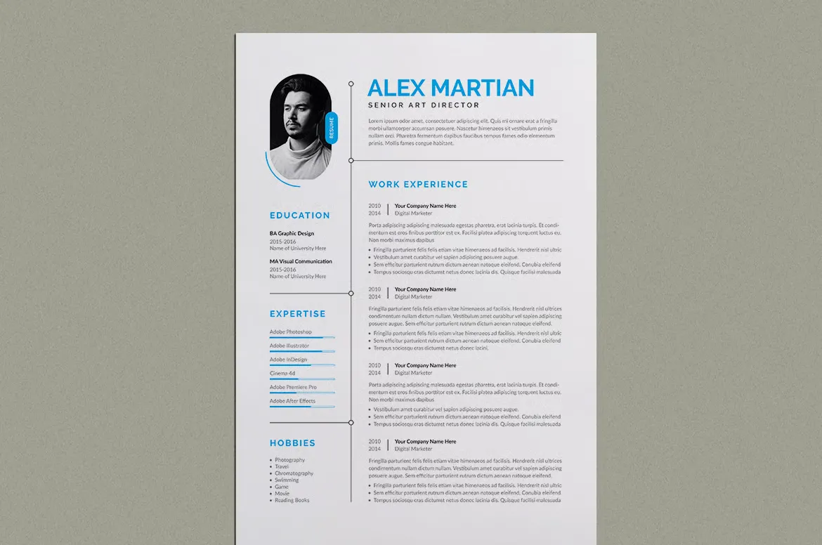 简历排版布局模板 - InDesign,Canva,Word格式