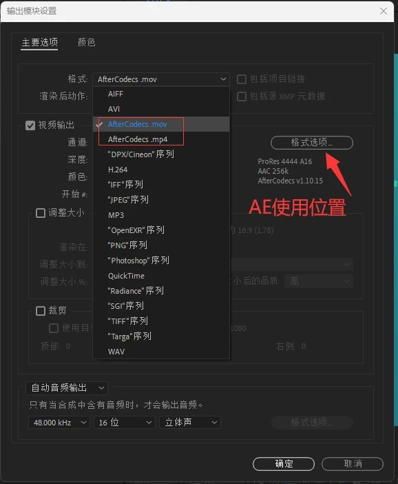 AE/PR/AME快速渲染输出插件 AfterCodecs v1.12.1 Win汉化版