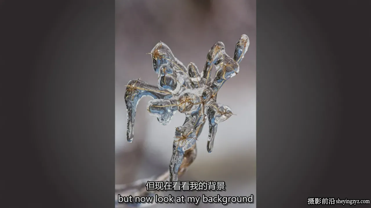 Adam Jones 掌握微距摄影对焦光线构图自然摄影完整教程-中英字幕