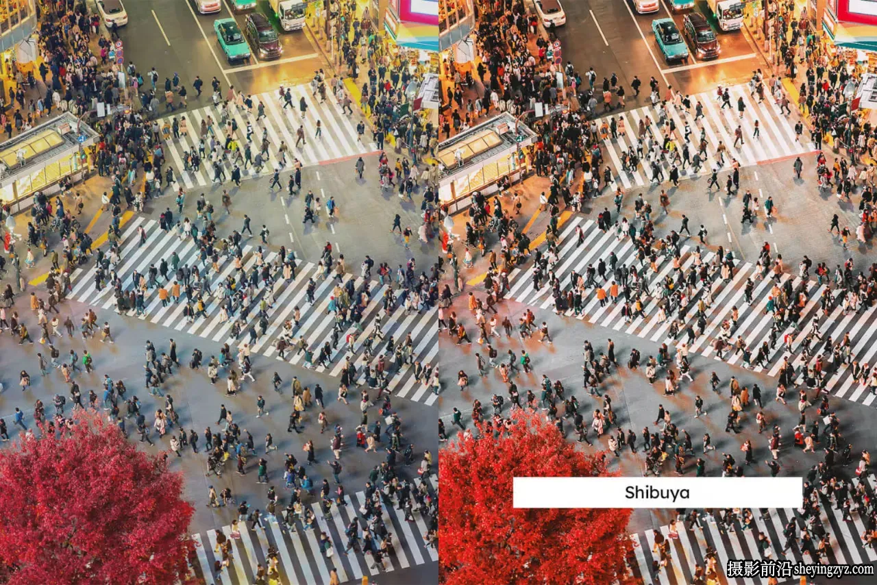 旅拍日系人文风光LR预设LUT预设 Tokyo Lightroom Presets and LUTs