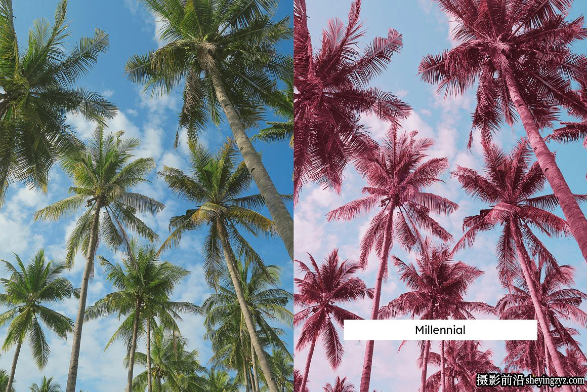 粉色红外电影胶卷负片LR预设LUT预设 Pink Infrared Presets &amp; LUTs