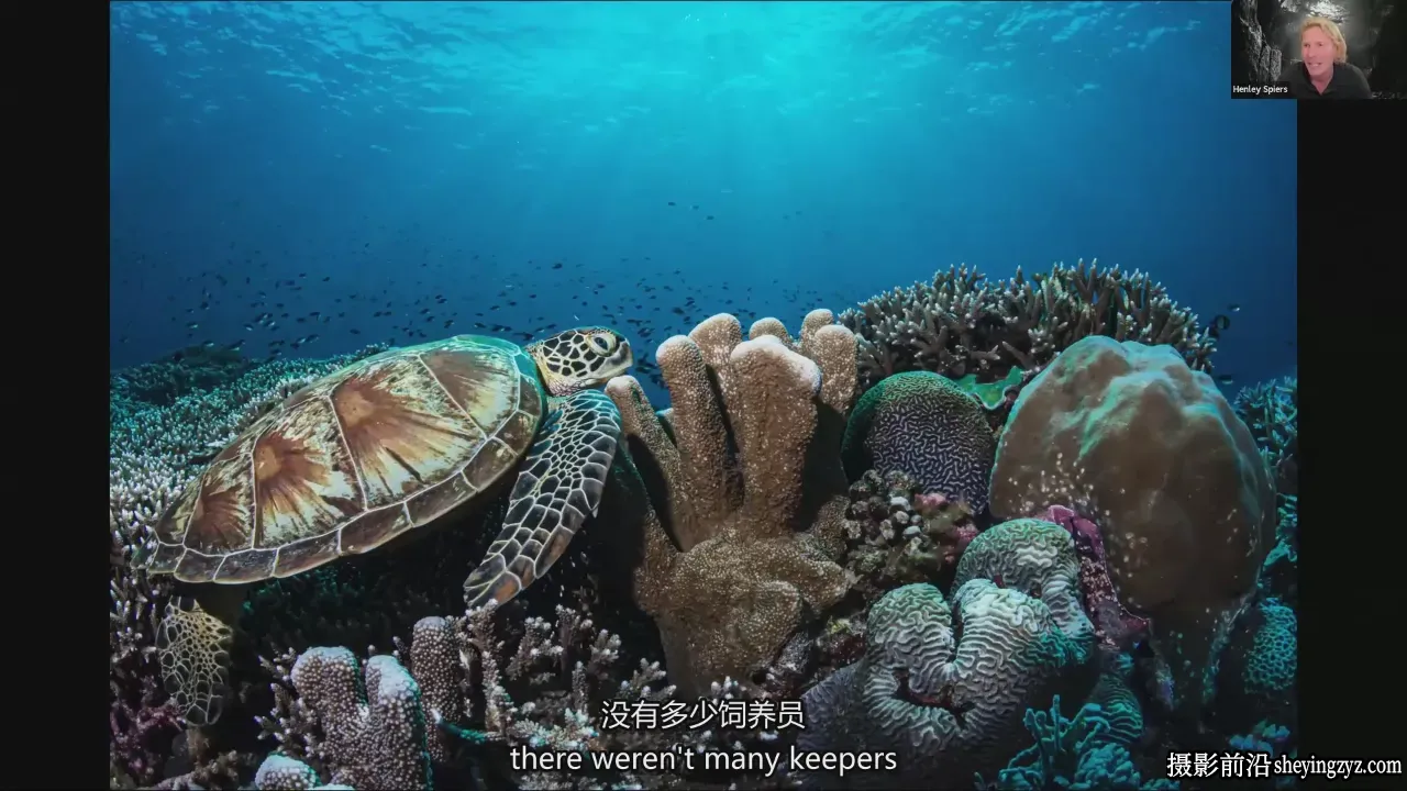 摄影师 Henley Spiers 水下摄影之旅-水下野生动物摄影-中英字幕