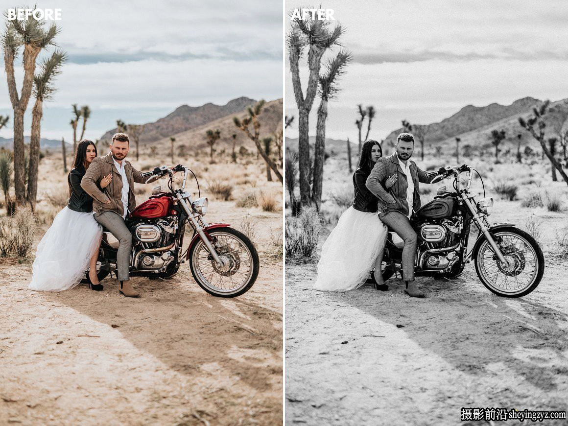 免费lr预设-经典黑白婚礼人像免费LR预设 Wedding Lightroom Presets