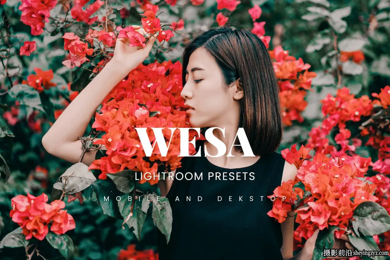 莫兰迪电影人像调色LR预设手机滤镜Artsyno wesa lightroom presets