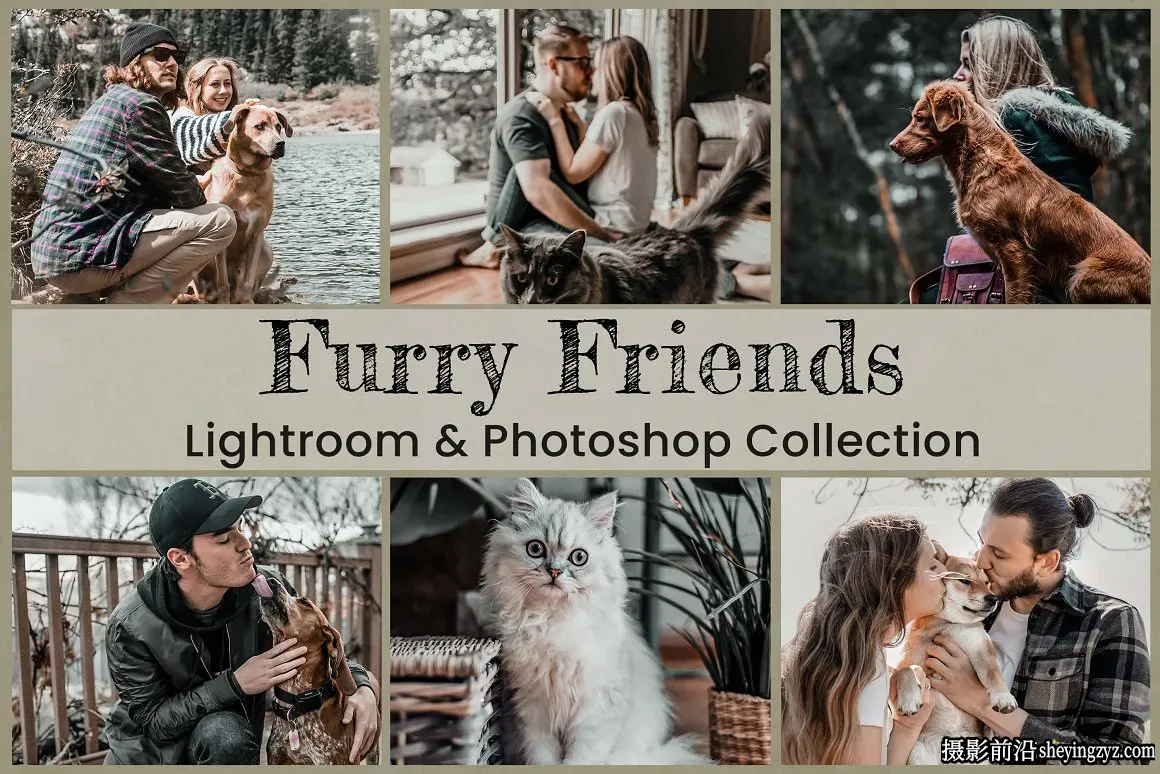 萌宠宠物摄影后期调色LR预设手机滤镜Furry Friends Collection
