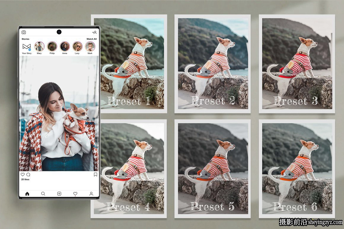 萌宠宠物摄影后期调色LR预设手机滤镜Furry Friends Collection
