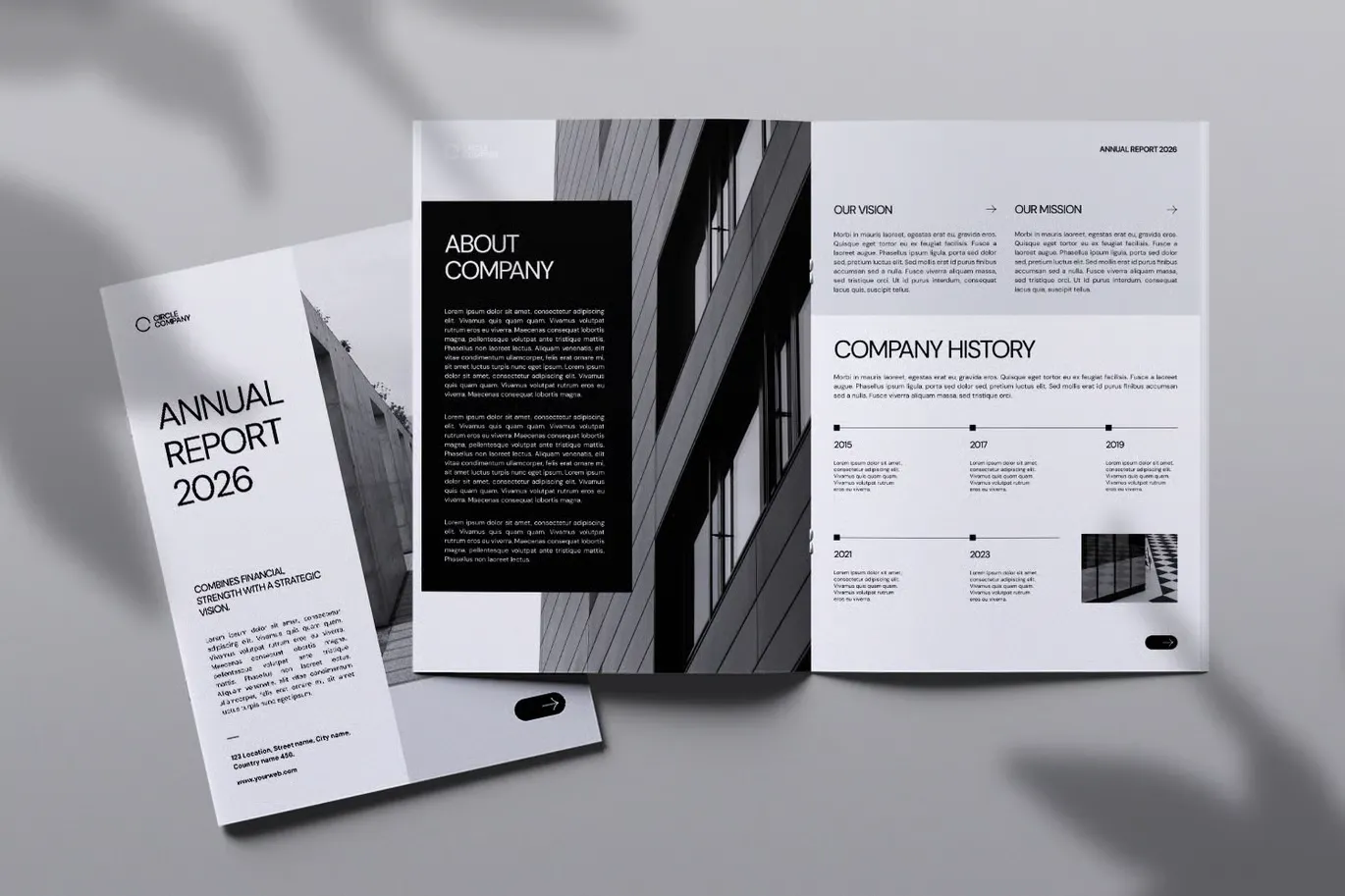 专业干净的年度报告排版布局设计InDesign模板