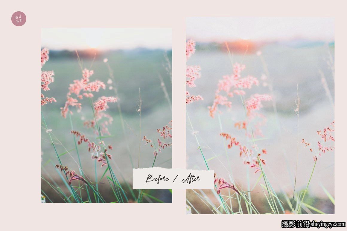 梦幻优雅粉色人像Lightroom预设 Sparkling Spring LR Presets