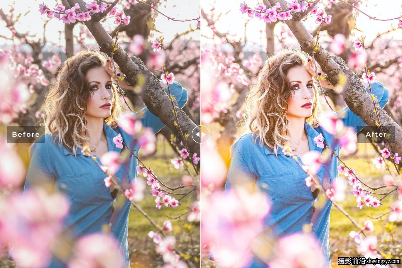樱花粉彩外拍人像调色LR预设手机滤镜Sakura Lightroom Presets