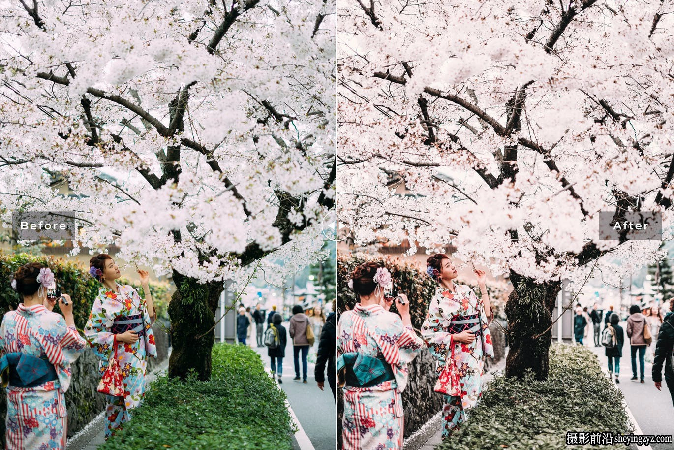 樱花粉彩外拍人像调色LR预设手机滤镜Sakura Lightroom Presets