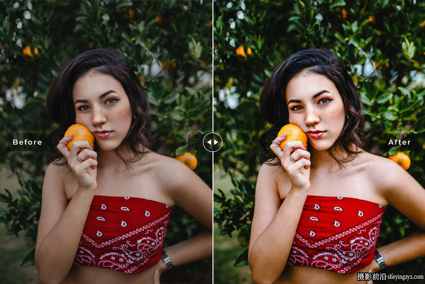 夏季美食摄影色调LR预设与手机滤镜Fruit Crush Lightroom Presets