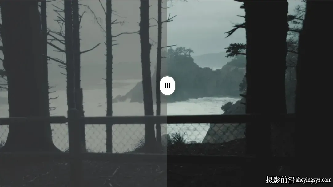黑暗森林诡异神秘的氛围调色LUT预设GradeFruit -Dark Forest LUT