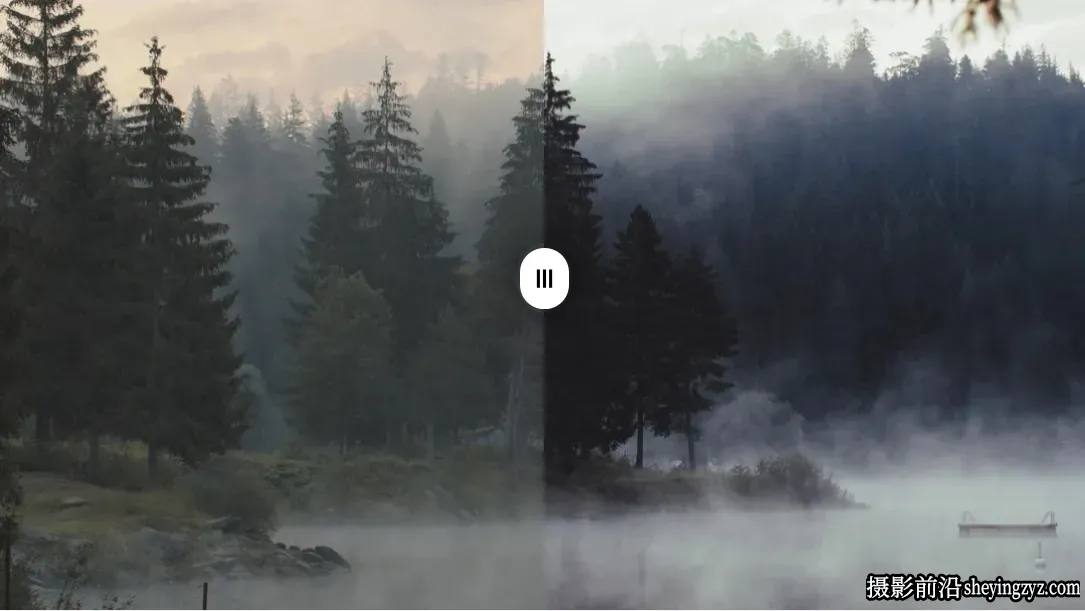 黑暗森林诡异神秘的氛围调色LUT预设GradeFruit -Dark Forest LUT