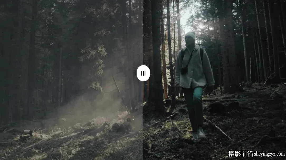 黑暗森林诡异神秘的氛围调色LUT预设GradeFruit -Dark Forest LUT