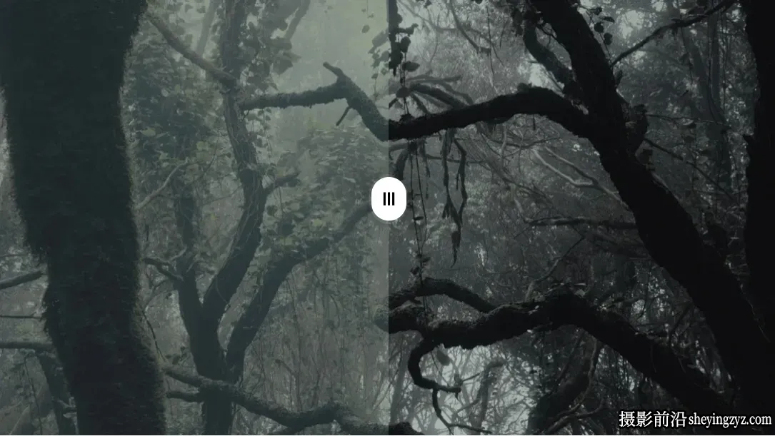 黑暗森林诡异神秘的氛围调色LUT预设GradeFruit -Dark Forest LUT