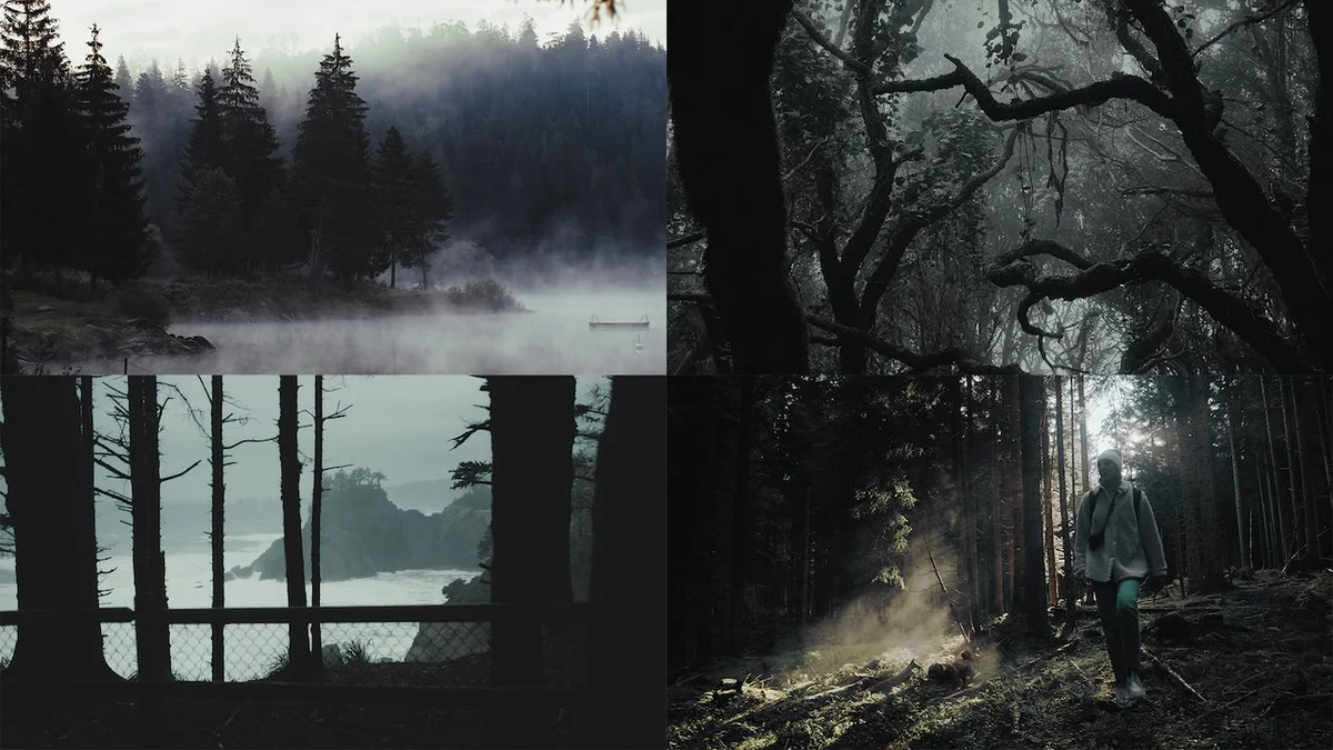 黑暗森林诡异神秘的氛围调色LUT预设GradeFruit -Dark Forest LUT