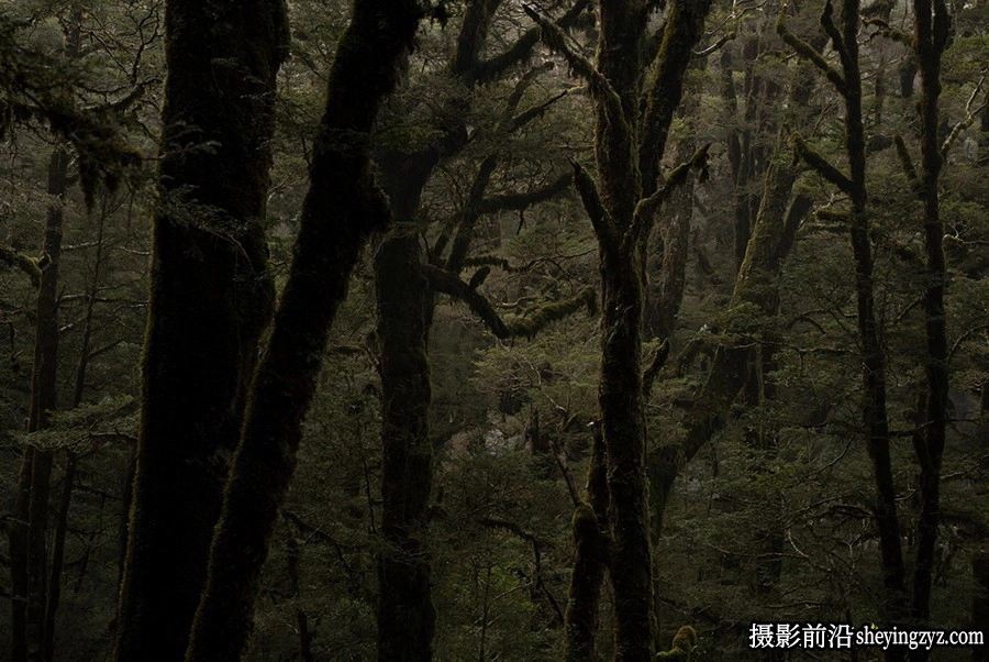 摄影师 William Patino 风光后期戏剧性光线Lightroom预设ACR预设