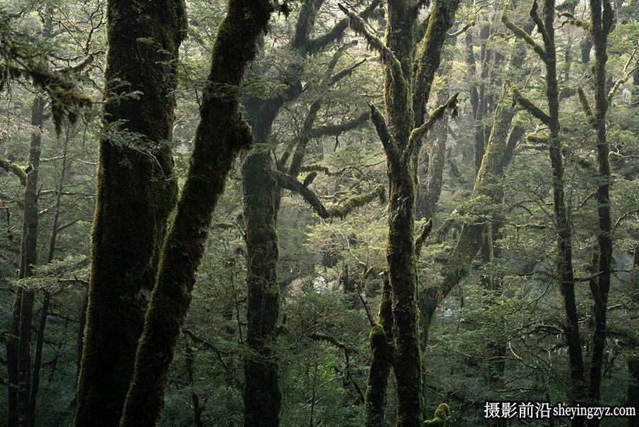 摄影师 William Patino 风光后期戏剧性光线Lightroom预设ACR预设
