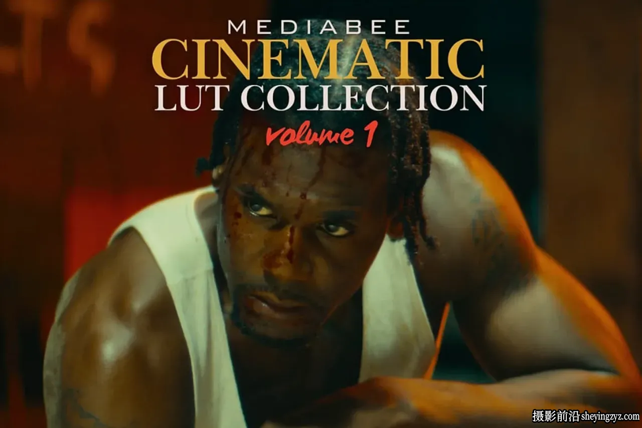 好莱坞怀旧叙事电影风格化LUT预设 MEDIABEE CINEMATIC LUTS Vol. 1