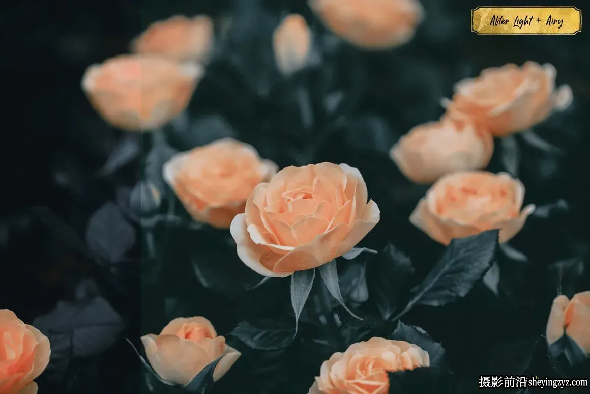 明亮通透浅色调电影复古胶片婚礼人像后期调色Lightroom预设
