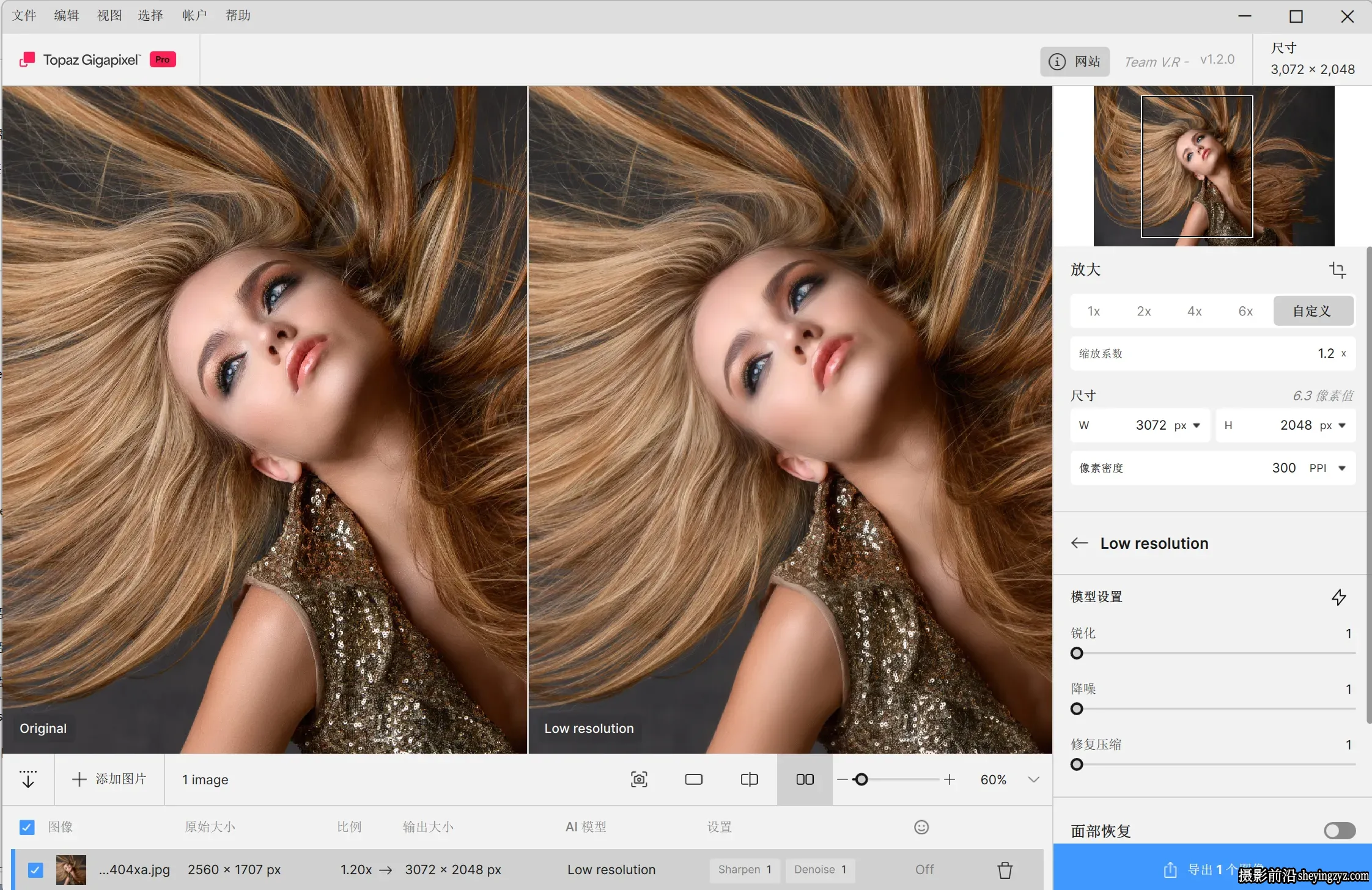 Topaz Gigapixel Pro v1.2.0中文版正式版-AI图像无损放大插件